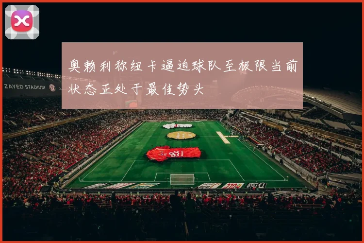奥赖利称纽卡逼迫球队至极限当前状态正处于最佳势头