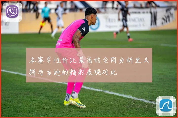 本赛季性价比最高的合同分析里夫斯与吉迪的精彩表现对比