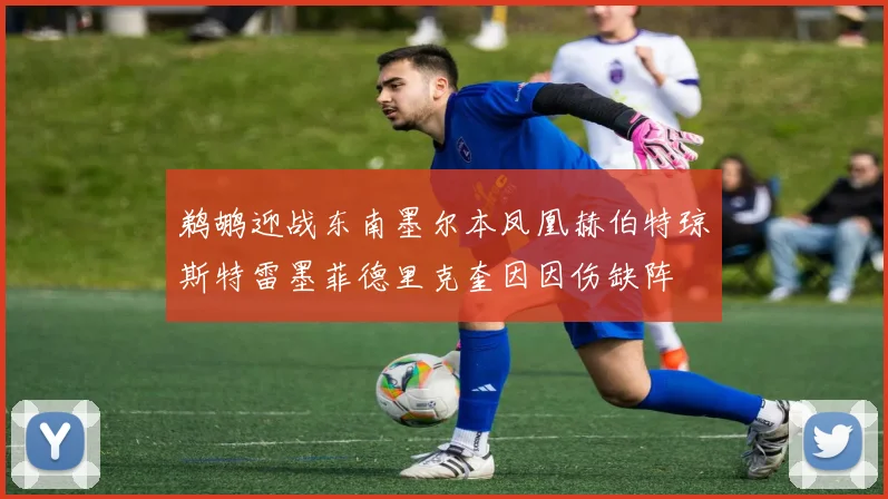 鹈鹕迎战东南墨尔本凤凰赫伯特琼斯特雷墨菲德里克奎因因伤缺阵